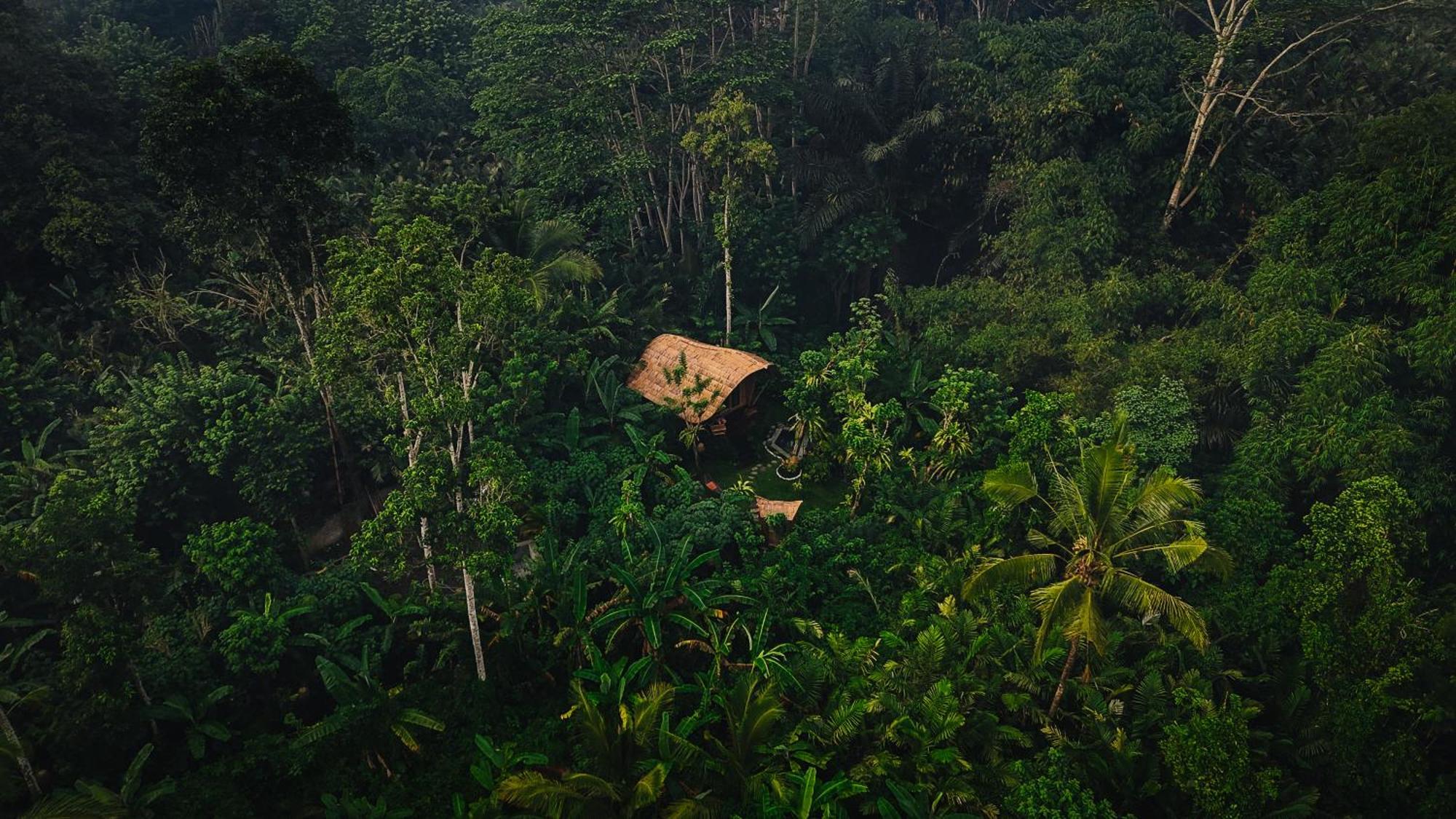 希德门Arcada Bali Bamboo House别墅 外观 照片