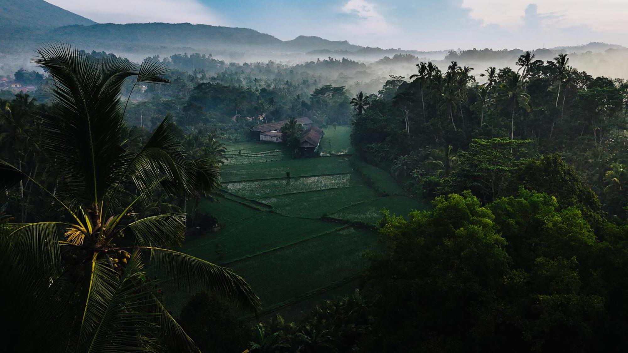 希德门Arcada Bali Bamboo House别墅 外观 照片